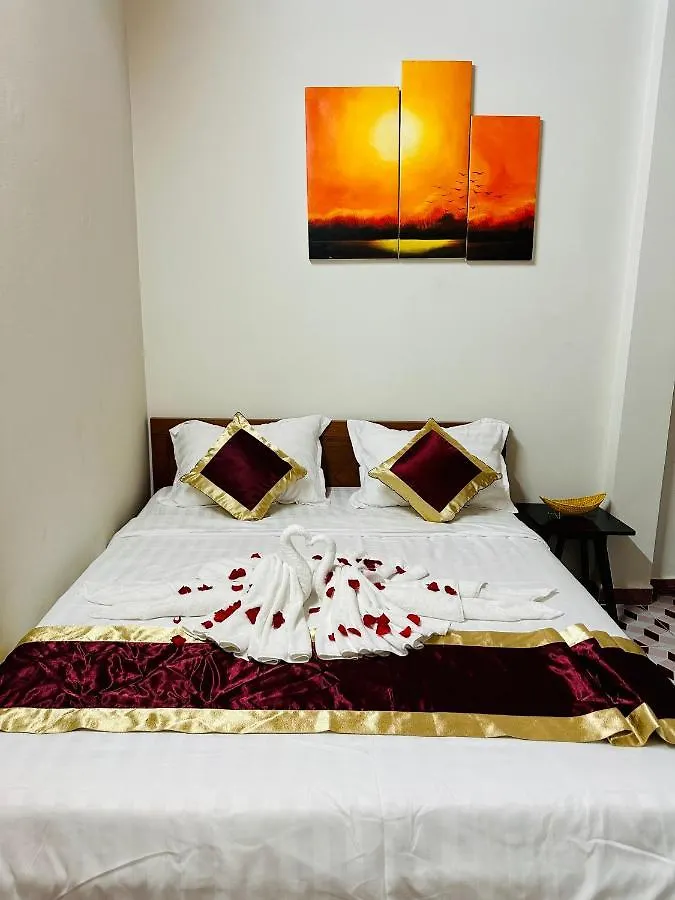 Dk House Homestay Hoi An Vietnam